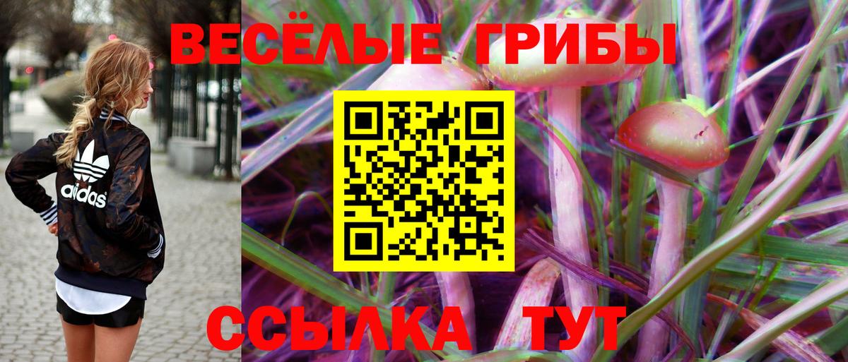 Псилоцибиновые грибы мухоморы Надым